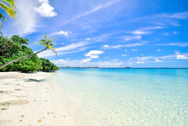 Ilha de Guriri São Mateus: Expedição Praias do Espírito Santo